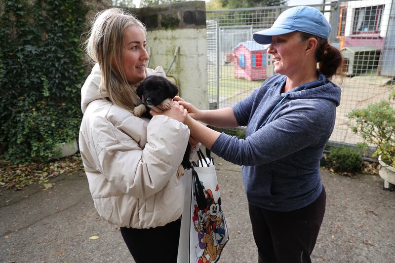 Lauren Byrne from Brownsbarn, Dublin collects Archie from Fiona Kynes at the Wicklow Animal Welfare facility. Photograph: Nick Bradshaw