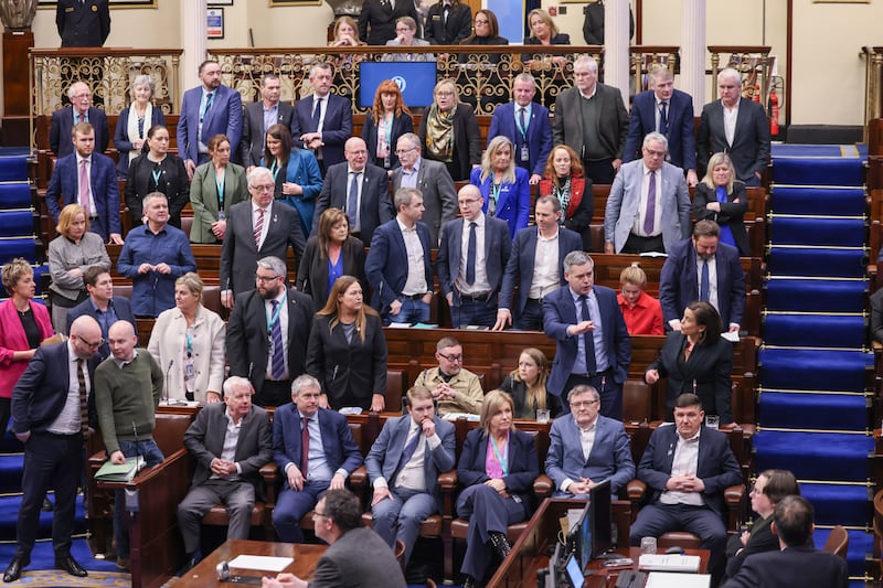 Members of the 34th Dáil. Photograph: Fergal Phillips/Maxwells