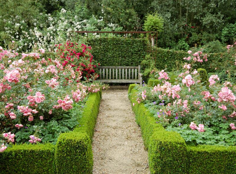 egular deadheading of flowering plants is crucial at this time of year to keep the show on the road by prolonging the display. Photograph: iStock