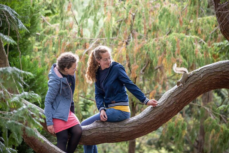 German tourists at the National Botanic Gardens, Glasnevin. Photograph: Tom Honan