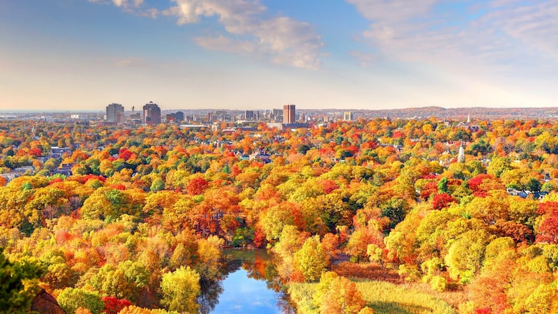 New Haven: try the Taste of New Haven Food and Drink Tour for some memorable pizza and outstanding sushi. Photograph: iStock