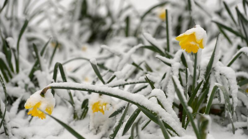 Warmer temperatures, which are in line with expected March weather, are expected through the week Photograph: Dara Mac Dónaill/The Irish Times