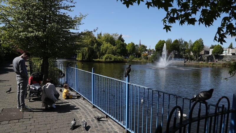 ‘Get up to the Blessington Basin, people. Everyone should experience it.’ Photograph: Nick Bradshaw / The Irish Times