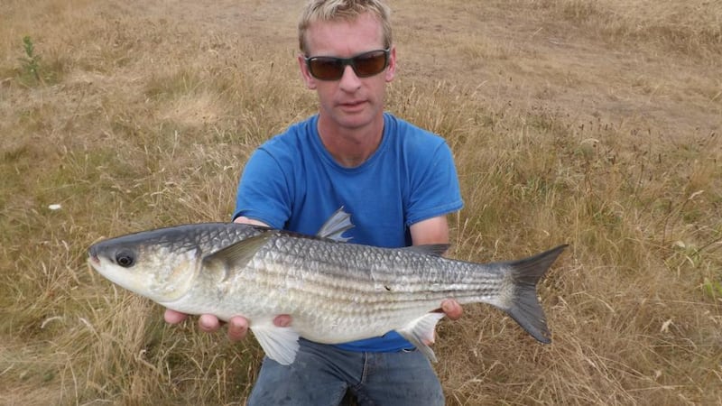 Des Chew of Dublin Angling Initiative with a thick-lipped mullet of 3.08kg caught on bread flake in Co Wicklow