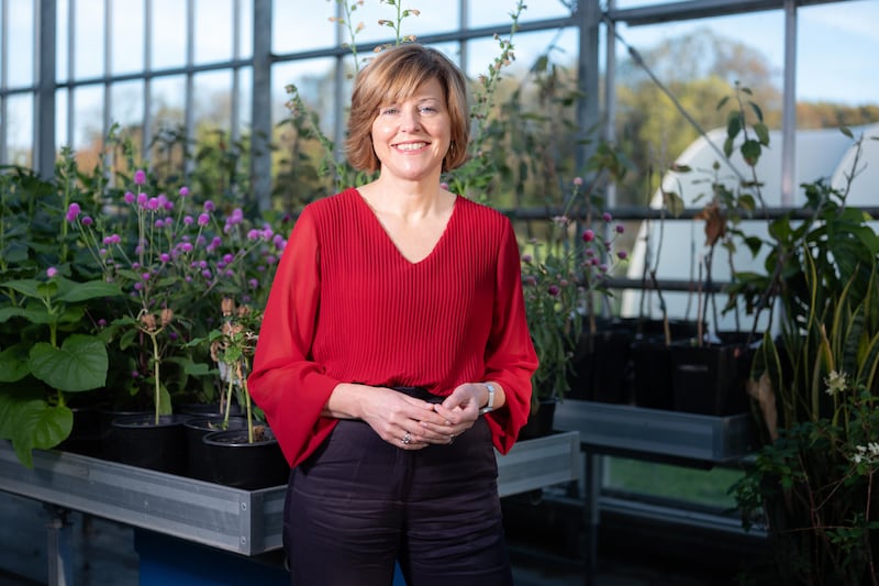 Marian O'Connor, Project Lead responsible for delivering the Microcreds project at UCD, an HCI-funded project. Photographed in the Rosemount Environmental Research Station at UCD.