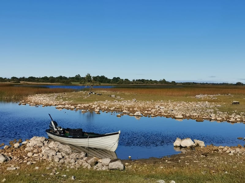 Clawinch Island on Lough Ree which is being acquired by the State to protect wader birds.