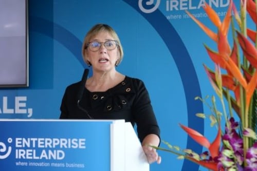 Enterprise Ireland 2020 spend soars to over €1bn in response to pandemic