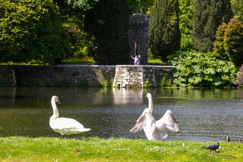 Johnstown Castle Estate, Museum and Gardens: 'We detect all the different animals on the estate here.' 