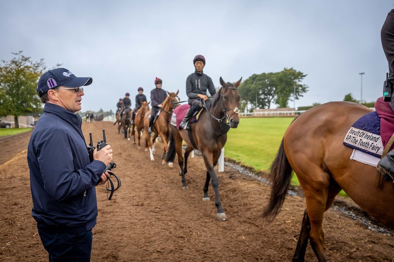 Aidan O'Brien: his faith in City of Troy was vindicated in spectacular fashion in the Epsom Derby. Photograph: Morgan Treacy/Inpho 
