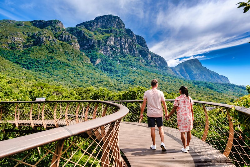 The Boomslang walkway in Kirstenbosch Botanical Garden. Photograph: iStock