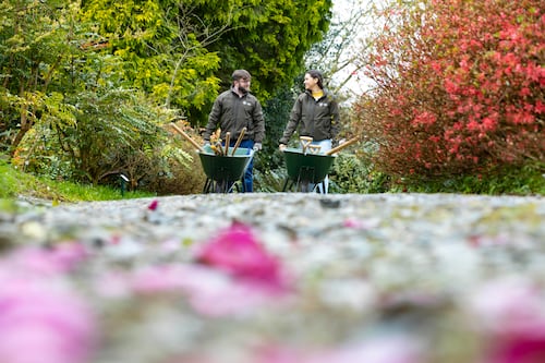 ‘We call Mount Congreve Ireland’s global garden because there are 10,000 different plants here’