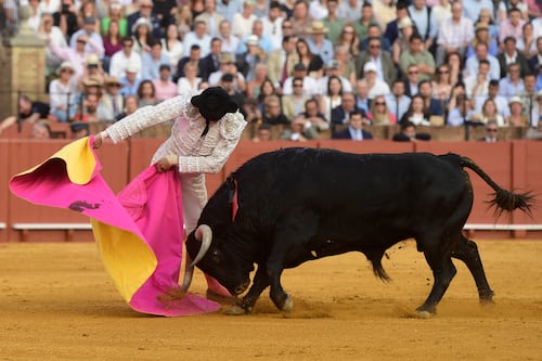 Catalan bullfighting fans demand return of tradition to region 