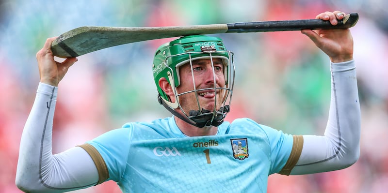 There is no obvious replacement for Limerick goalkeeper Nickie Quaid. 
Photograph: James Crombie/Inpho