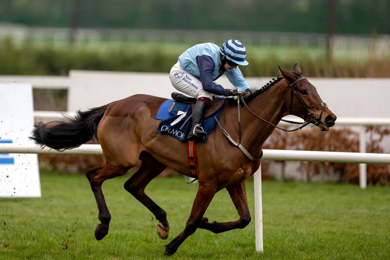 Jody Townend on Fleur Au Fusil. Owned by well-known singer Paddy Reilly, she did an awful lot wrong in a Grade Two at the Dublin Racing Festival but still managed to win. Photograph: Morgan Treacy/Inpho