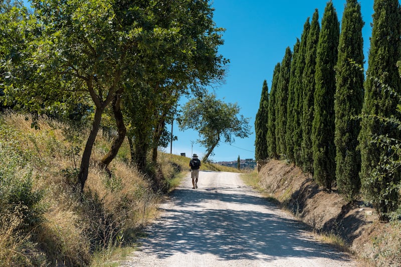 The Tuscan section of the historic Via Francigena pilgrimage route offers a journey through charming villages and vineyards