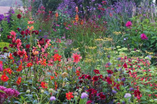 Gardening: Two well-grounded reads on the fleeting essence of time and bittersweet beauty of natural world