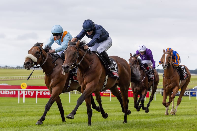 Henry Matisse: goes in the Juvenile Turf for Aidan O'Brien. Photograph: Morgan Treacy/Inpho 