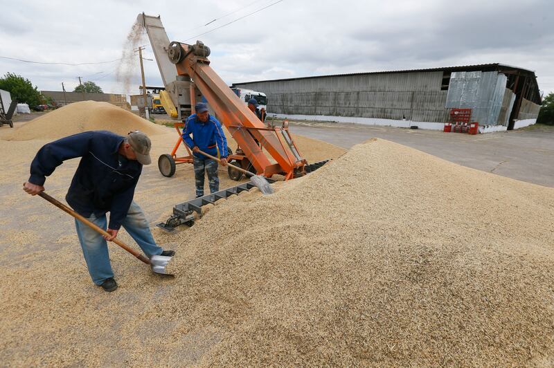 Ukrainian farmers mixing grain after a harvest in the Odesa area, southern Ukraine. Before the war Odesa was a  pivotal export hub as Ukraine became an agricultural powerhouse, accounting for almost 15%  of world grain exports. Photograph: 
