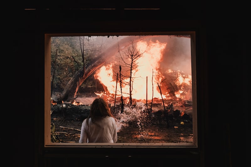 Nancy Chiamulon attempts to contain a fire encroaching on her property in the Pacific Palisades neighborhood. Photograph: Mark Abramson/The New York Times
                      