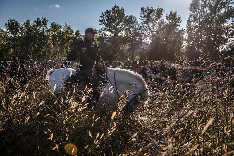 Police on horseback in Dobova, Slovenia, escort hundreds of migrants who have crossed the border from Croatia on October 20th, 2015 Photograph: Sergey Ponomarev,