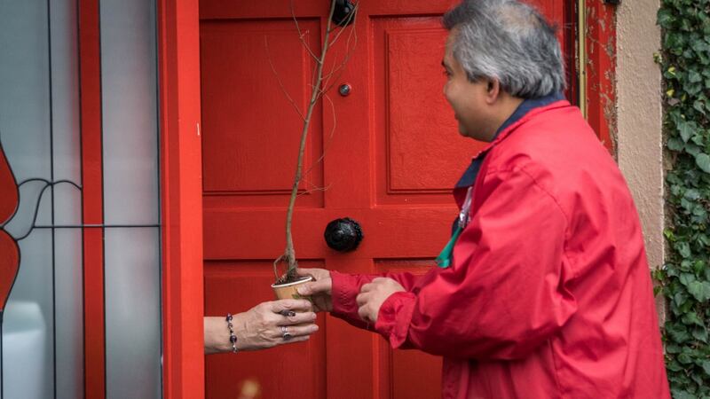 Labour Party general election candidate Kamal Uddin giving a tree to a constituent while canvassing in Castlebar, Co. Mayo. Photograph: Keith Heneghan