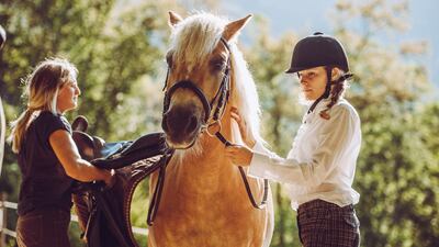 Cashel Riding Club is a brand new riding club in Co Tipperary and they are looking for equestrians to join their club