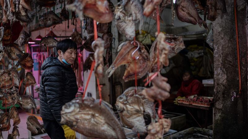 A vendor selling dried fish works at his stall at a market in Wuhan on January 15th. Photograph: Nicolas Asfouri/AFP via Getty Images