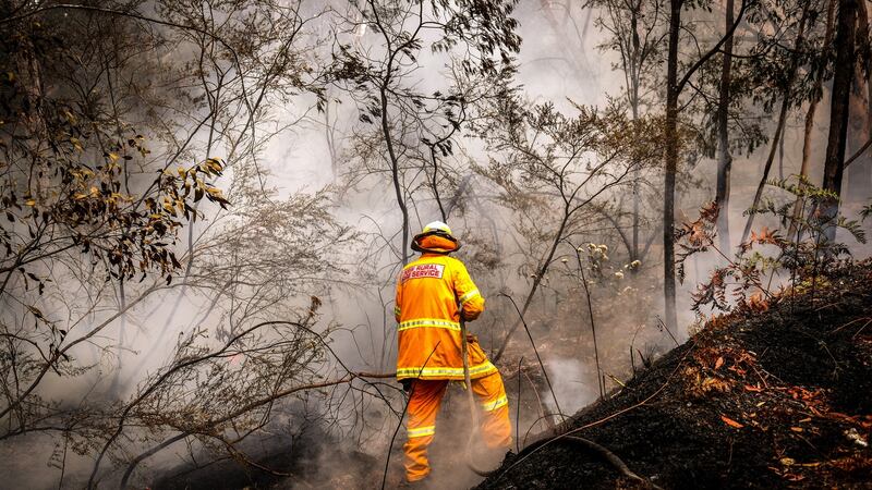 A fire service volunteer douses a fire during back-burning operations in bushland near the town of Kulnura.  Photograph: Bloomberg