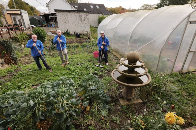 Gardening at the men's shed
