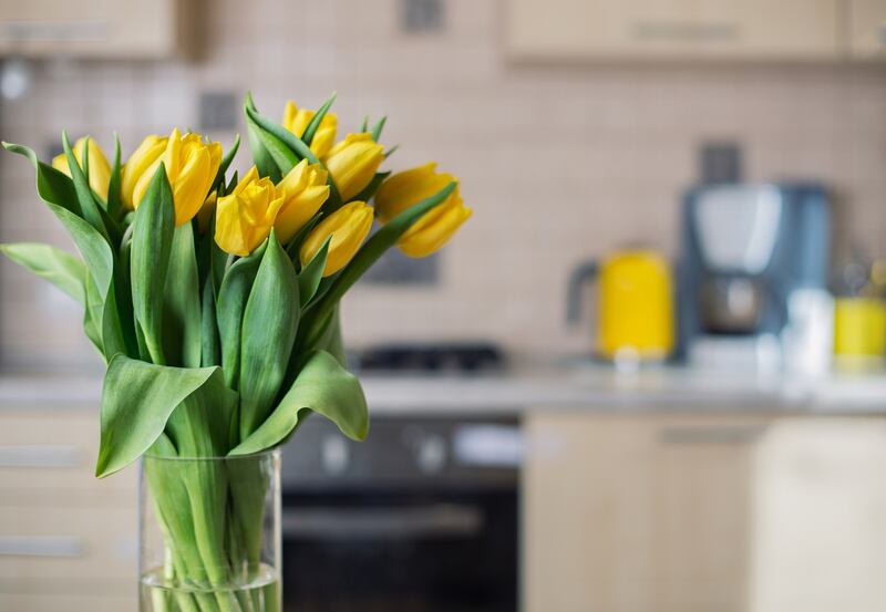 Orla Kiely, designer: ‘A Dutch florist friend says a big bunch of yellow tulips are the best way to brighten up January. I get the same level of pleasure from a big yellow skip’