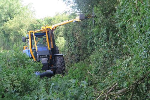 ‘They tell me I am destroying the hedge, but I am here to maintain it’