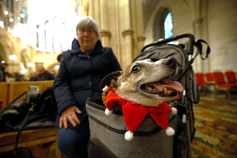 Agnes Harrison with her dog Victor at the annual Peata Therapy Dog Carol Service in Christchurch Cathedral in Dublin. Photograph: Nick Bradshaw / The Irish Times