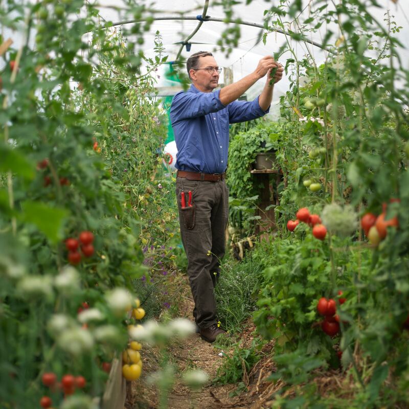 Tanguy de Toulgoët in his Laois garden’s produce-filled polytunnel. Photograph: Richard Johnston