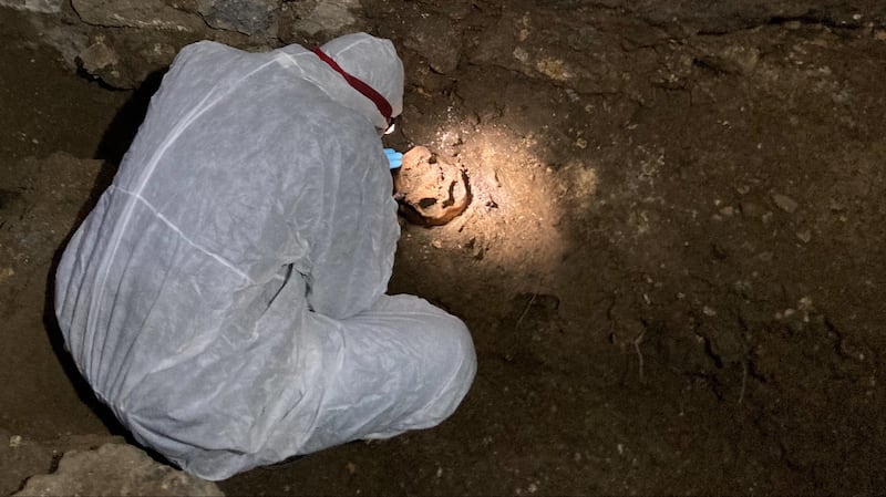 Archaeologist Noah Gaens from the University of Louvain taking a tooth from the second skeleton for DNA extraction