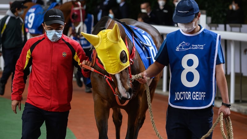 Stable assistants wear face masks as a preventative measure against the Covid-19 coronavirus at the Sha Tin racecourse in Hong Kong. Photograph:  Philip Fong/AFP via Getty Images