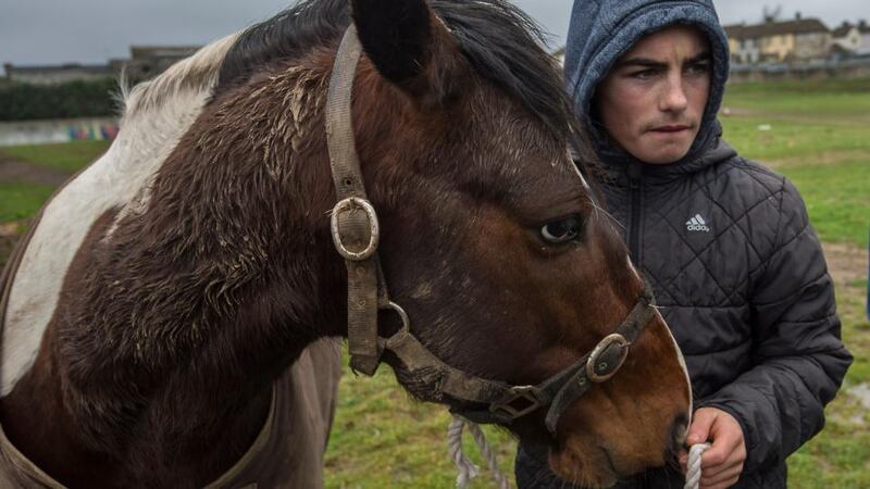 Aaron O’Donoghue with Bush at Ballinacurra Weston in Limerick. Photograph: Brenda Fitzsimons