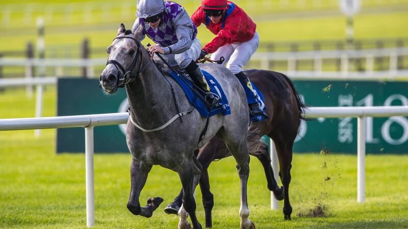 Havana Grey’s victory at the Curragh gave Karl Burke a second Group One success of the weekend. Photograph: Bryan Keane/Inpho