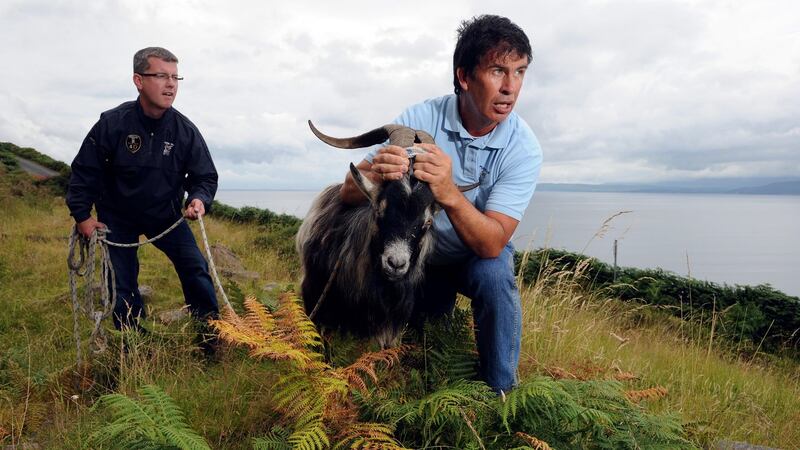 King Puck: Goatcatchers Pat Cahill and John McGrath capturing a wild goat for crowning at the fair in 2014. Photograph: Don MacMonagle