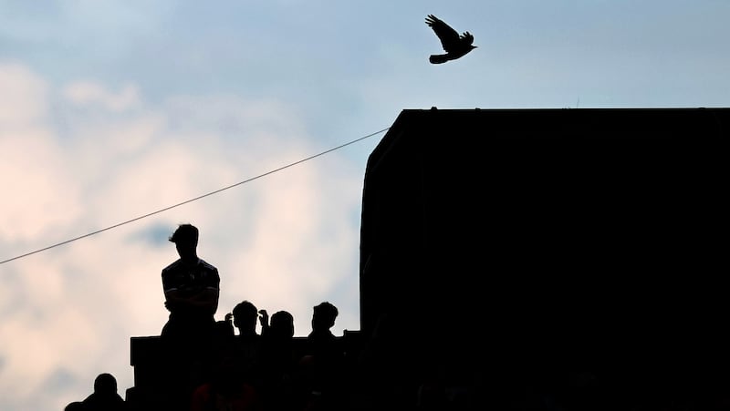 Fans watch Galway's win over Roscommon at Dr Hyde Park on Sunday. Photograph: James Crombie/Inpho