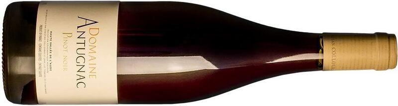 Domaine Antugnac Pinot Noir