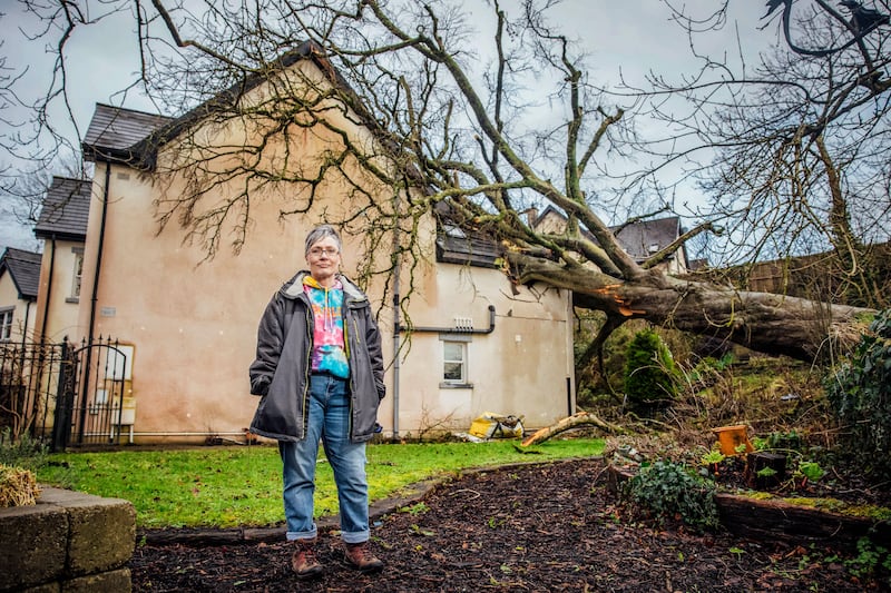 Maura Adshead by her house in Coolbane Woods, Castleconnell, Limerick, after a tree crashed through the roof during the Storm Éowyn. Photograph: Brian Arthur