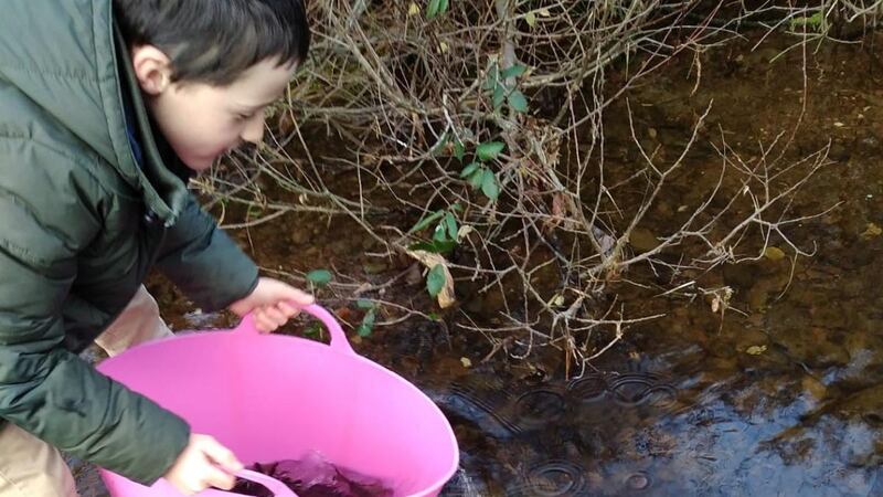 Darragh Moran, nephew of Tom O’Shea, assisting in releasing salmon smolts near the hatchery on the Cummeragh River in Waterville, Co Kerry