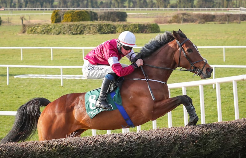 Donagh Meyler on Scarlet And Dove jumps the last fence to win the Flyingbolt Novice Steeplechase at Navan in March 2021. Photograph: Caroline Norris/Inpho