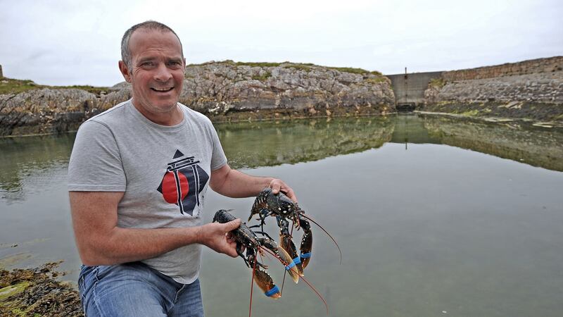 Cathal King of live shellfish exporters King’s of Connemara in Cleggan, Co Galway. Photograph: Conor McKeown