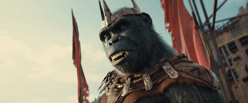 Proximus Caesar played by Kevin Durand in Kingdom of the Planet of the Apes. Photograph: 20th Century Studios.