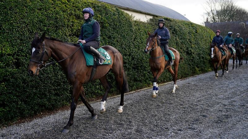 Appreciate It leads the parade during the visit to Willie Mullins’s yard. Photograph: Niall Carson/PA Wire