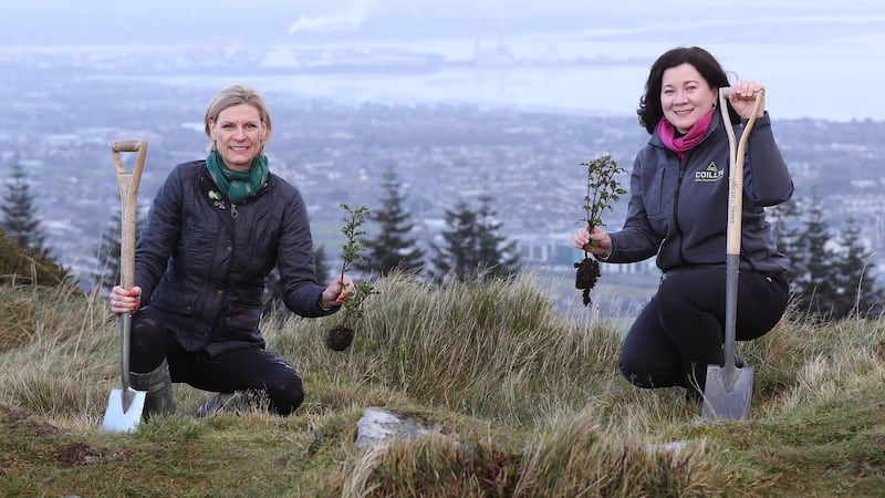 NO REPRO FEE.The first native woodland in the Dublin Mountains Makeover was launched in Ticknock Forest this morning. To celebrate this major project milestone, Minister of State with responsibility for Forestry, Senator Pippa Hackett and Coillte's Chief Executive, Imelda Hurley, completed the planting together. Having felled this area during the summer, the winter planting season has seen native tree species including birch, Scots pine, oak, rowan and holly planted on an area the size of three football pitches (3 hectares). To learn more about the Dublin Mountains Makeover visit www.coillte.ie/coillte-nature/ Pic. Robbie Reynolds