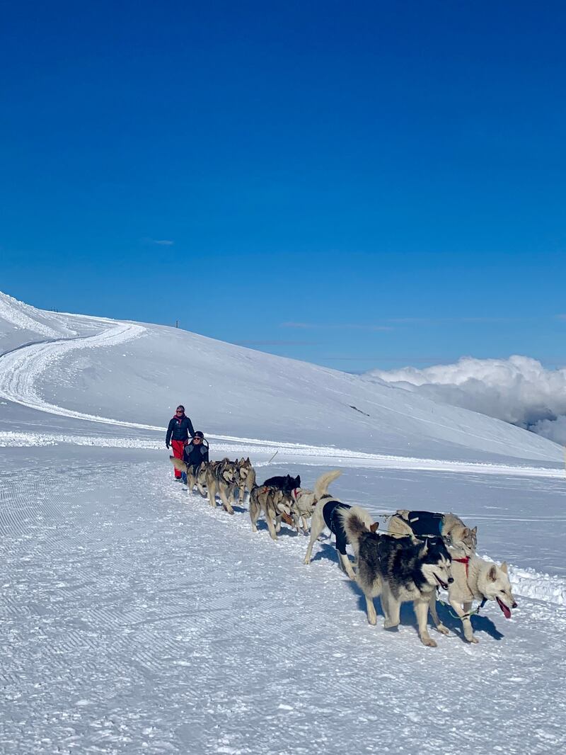 A sled ride powered by howling huskies will be remembered as the most joyous moment of our trip