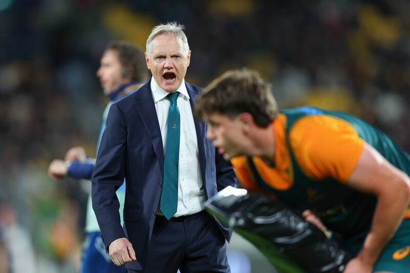 Australia head coach Joe Schmidt might have to sacrifice a few results as he tries to identify his best side. Photograph: Hagen Hopkins/Getty Images