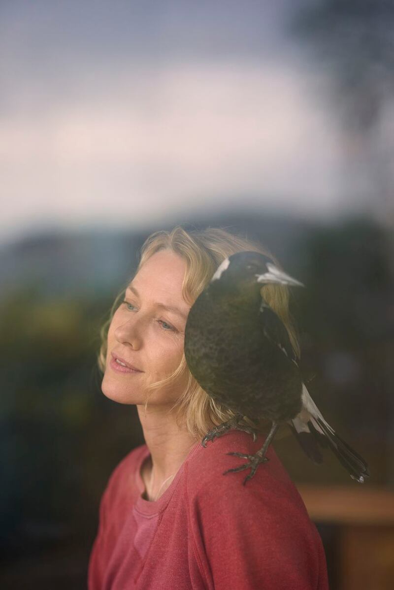 Naomi Watts as Sam in Penguin Bloom. Photograph: Metflix